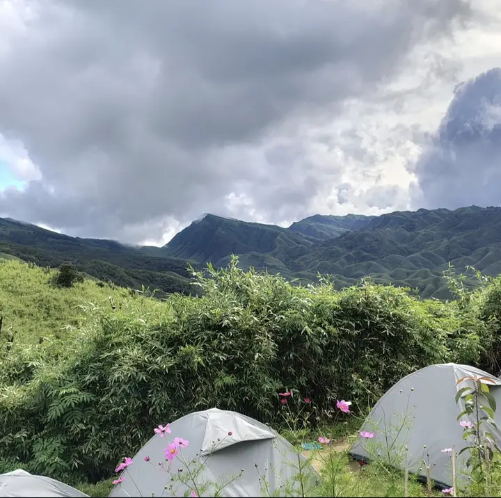 Tents among wildflowers in Dzukou